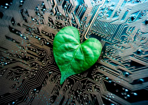 澳门太阳城娱乐官网案例